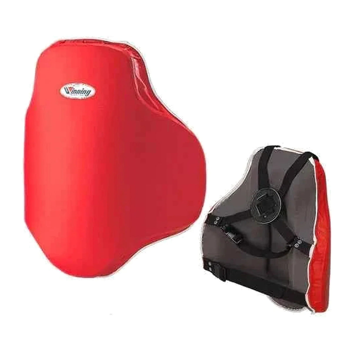 Coach body protector