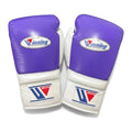 Winning boxing gloves - alternate angle